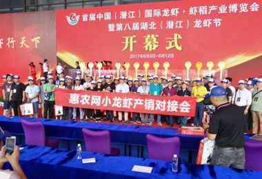 2017監利、潛江小龍蝦網上采購節