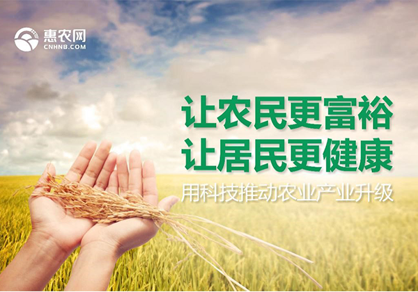 36氪專訪 | 一手流通一手產地，“惠農網”要做農產品“大中間商”