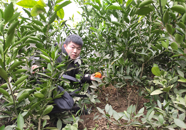 23天交易67萬，“00后”商家在惠農網種出了“發財樹”