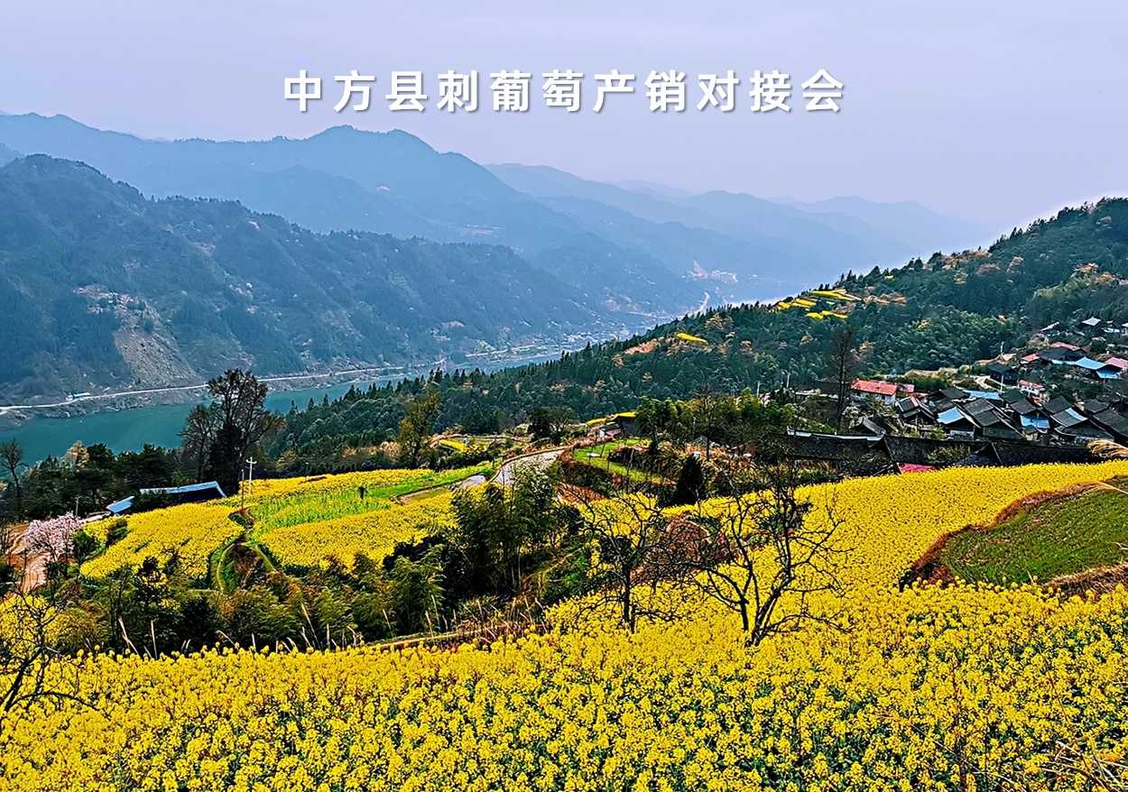 湖南省中方縣刺葡萄產銷對接會