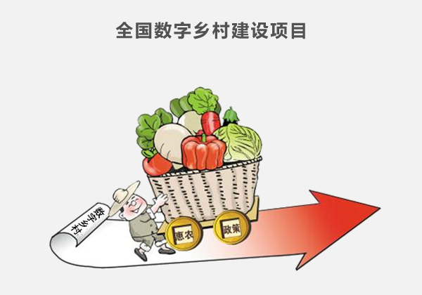 全國數字鄉村建設項目