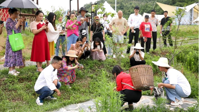 1659341993304.jpg 1659341993304.jpg