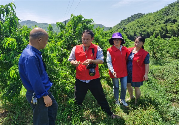 惠農網農技專家王迪軒：33年田間耕耘 用科學觀念護航農業生產