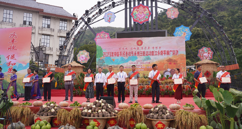 江永香芋1.jpg 江永香芋1.jpg