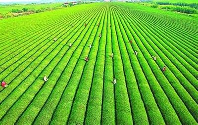 央行等八部門聯(lián)合印發(fā)《關(guān)于強化金融支持舉措 助力民營經(jīng)濟發(fā)展壯大的通知》