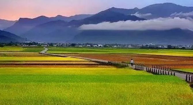 2024年農業產業融合發展項目立項名單公示公告