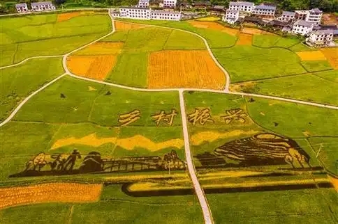 鄉村全面振興規劃（2024—2027年）